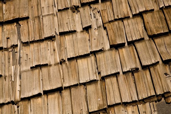 Cedar Shake Roof Care